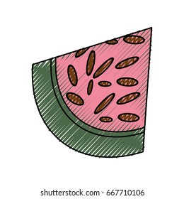 Delicious watermelon fruit
