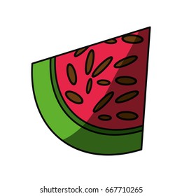 Delicious watermelon fruit