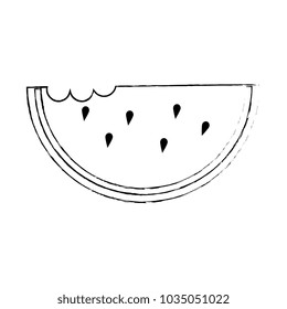 delicious watermelon slice icon