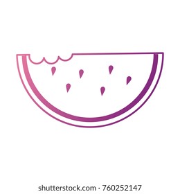delicious watermelon slice icon
