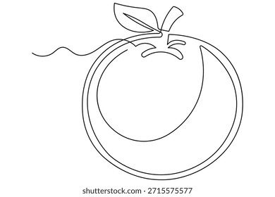Delicious whole orange fruit single line art outline minimal style