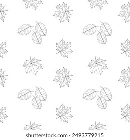 Delight in this seamless pattern of maple and other fall leaves. Perfect for coloring enthusiasts and creative projects.