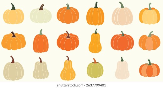 A delightful assortment of pumpkins and gourds showcases autumn's abundant harvest