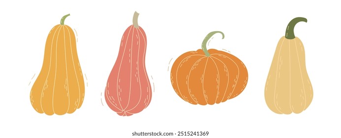 A delightful and charming collection of colorful pumpkins and unique gourds, ideal for autumnthemed decorations