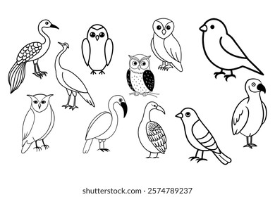 A delightful collection of black and white comic bird vector illustrations. Perfect for digital designs, printable, and creative projects.