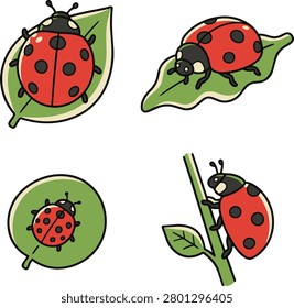 A delightful collection of four vector illustrations showing cute red ladybugs with black spots. Each insect is depicted on a green leaf or climbing a plant stem.