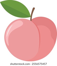 Delightful Fruit Graphics Bundle Illustration