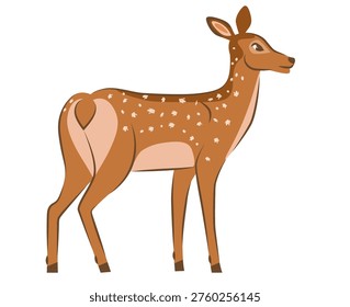 A delightful hand-drawn vector illustration showcasing a fawn in minimalist style, perfect for nature-themed designs and projects.
