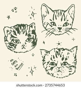 A delightful illustration features three adorable kitten faces, surrounded by whimsical stars and paw prints on a cream background.