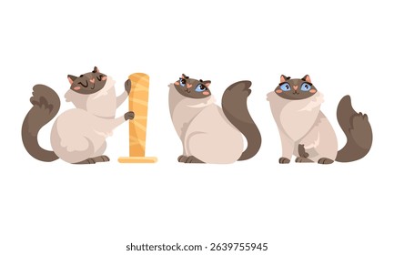 Delightful and Playful Cartoon Cats Engaging with Their Scratching Post Toy for Fun Activities