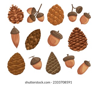 Delightful Set Of Acorns And Pine Cones, Showcasing The Beauty Of Woodland Treasures. Isolated Elements Perfect For Rustic Decor, Crafts, Or Nature-inspired Displays. Cartoon Vector Illustration