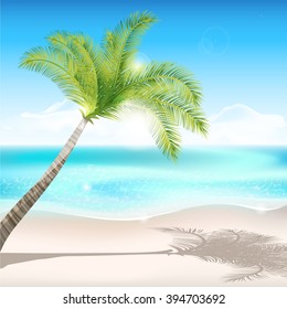 A delightful summer exotic landscape. Palm and the sun. Wild beach. Sunny Beach. Vacation in warm countries.