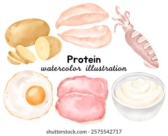 Delightful Watercolor Protein Food Illustrations: Hand-Painted Clip Art Featuring Eggs, Chicken, Squid, Potatoes, and More for Culinary Projects, Menus, and Creative Designs.
