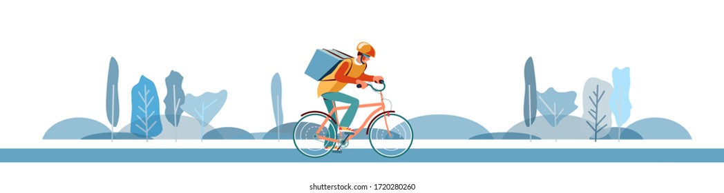 bicycle parcel carrier