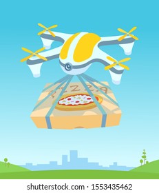 A delivery drone carrying a cardboard pizza box. Summer city, sky, a green meadow on the background. Vector cartoon illustration.