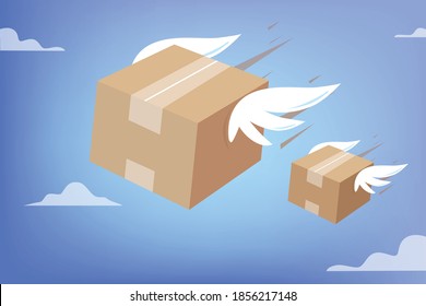 Delivery and fast service by air transport