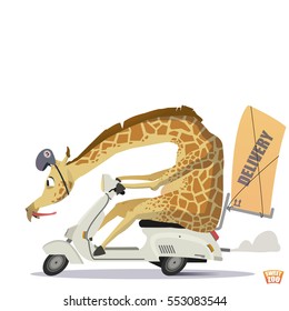 Delivery service. Delivery service employee goes on a scooter. Cute giraffe in the helmet. Scooter riding fast. The intelligent animal. Postal worker. Sweet Zoo