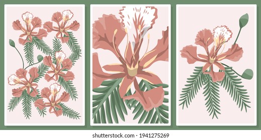 delonix flowers wall art vector set,  for wall art, poster, wallpaper, print