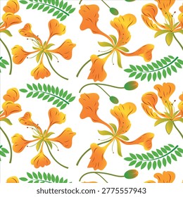 Delonix regia. Vector seamless pattern with a branch of royal poinciana, bright, phoenix flower, flame tree with leaves and flowers, regia delonix on a white background, hand drawn illustration.