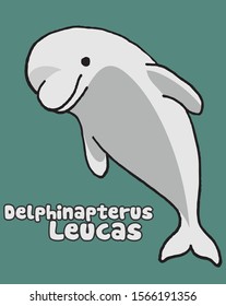 "DELPHINAPTERUS LEUCAS" hand sketches dolphine, whale type vector design