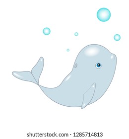 Delphinapterus leucas whale