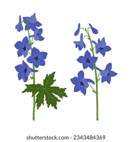 Delphinium, blaue Larkspur-Pflanzen, Vektorgrafik-Blumen auf weißem Hintergrund, handgezeichnet botanische Illustration