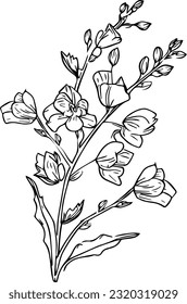 Dibujo de flor de delfinio, dibujo de flor delfinínea simple, tatuaje de larkspur pequeño minimalista, dibujo de delfinio lápiz, ilustración de flor delfino botánica dibujada a mano, aislado en clipart blanco