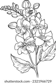 Delphinium flower drawing, delphinium tattoo black and white, pencil delphinium drawing, July Birth Flower Larkspur Drawing, minimalist July birth flower larkspur tattoo, larkspur July flower tattoo