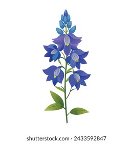 Delphinium Flower Illustration on White Background