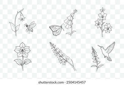 Delphinium Flower Line Art Vektor Set mit detaillierten botanischen Illustrationen für elegante Blumendesigns