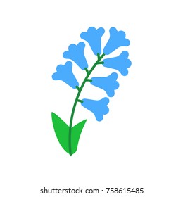 Delphinium flower. vector illustration
