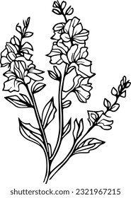 Blütenvektor von Delphinium, botanische wissenschaftliche Illustration im Dunkeln, Illustration. botanische Delphiniumzeichnung, einzelne Larkspur-Blumenlinie, Schwarz-Weiß-Clipkunst, Stockkunst aus Delphinium