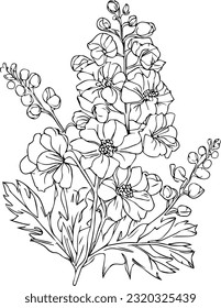 Delphinium flowers illustration coloring page, simplicity, Embellishment, monochrome, vector art, Outline print with blossoms larkspur flower, larkspur bouquet leaves and buds, hand drawn illustration