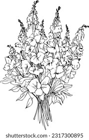 
Delphinium Juli Birth Flower Larkspur Zeichnen, Bouquet of Larkspur Blume handgezeichnet Stift Skizze Färbung und Buch für Erwachsene einzeln auf weißem Hintergrund florale Elemente Illustration Tinte.