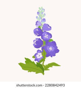 Delphinium or larkspur purple flowers isolated on white background. Spring Elegant botanical vector cute illustration of wild flowering plant