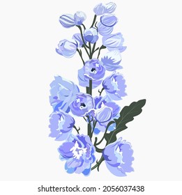 Delphinium-Vektorgrafik. Larkspur blühende Blumen. Blaue Winterpferde. Einzeln auf weißem Hintergrund. Elegante detaillierte botanische Zeichnung der Wildblüte. Einladung.