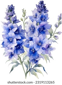 Delphinium Aquarell-Illustration. Handgezeichnet Unterwasserelement-Design. Künstlerische Vektorgrafik-Design-Element. Illustration für Grußkarten, Druck und andere Design-Projekte.