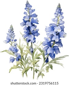 Delphinium Aquarell-Illustration. Handgezeichnet Unterwasserelement-Design. Künstlerische Vektorgrafik-Design-Element. Illustration für Grußkarten, Druck und andere Design-Projekte.