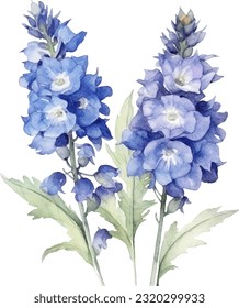 Delphinium Aquarell-Illustration. Handgezeichnet Unterwasserelement-Design. Künstlerische Vektorgrafik-Design-Element. Illustration für Grußkarten, Druck und andere Design-Projekte.