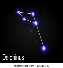 Delphinus Constellation with Beautiful Bright Stars on the Background of Cosmic Sky Vector Illustration EPS10