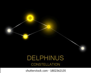 Delphinus constellation. Bright yellow stars in the night sky. A cluster of stars in deep space, the universe. Vector illustration