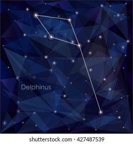 Delphinus constellation in night sky, background is a triangulation