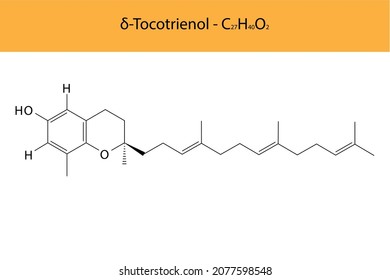 δ Delta Tocotrienol Skeletal structure and molecular formula. Organic biomolecule, isolated vector illustration
