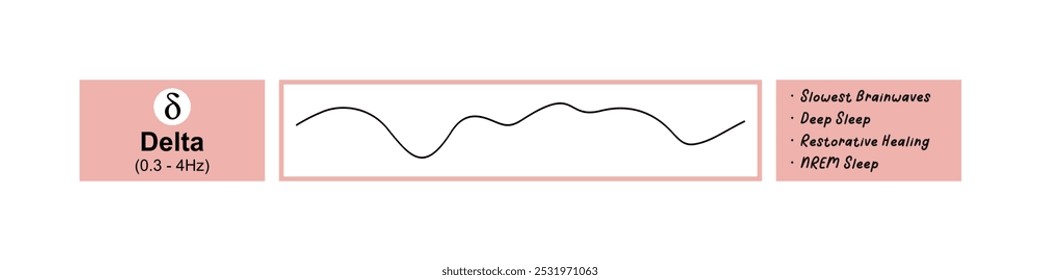 Delta waves - Brainwave activity graph, The impact on sleep and wakefulness.