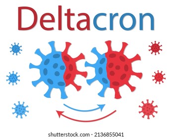 Deltacron is a combination of delta and omicron. Recombination of viruses. Schematic drawing. Two viruses exchange their DNA. The exchange is shown by the color of the coronavirus spike proteins.