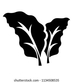 
Deltoid shaped leaf with one big vein in the middle manifesting bolleana poplar leaf icon 
