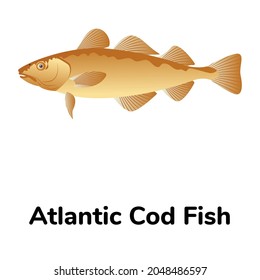 A Demersal Cod Fish Flat Icon Design