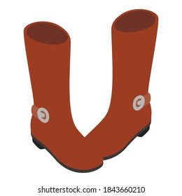 Demi boots icon. Isometric illustration of demi boots vector icon for web