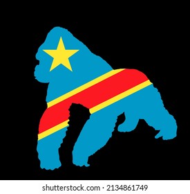 Democratic republic Congo flag over Gorilla monkey vector silhouette illustration isolated on black background. National symbol of Africa country wild life. Primates male mountain gorilla Kong.