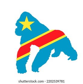 Democratic republic Congo flag over Gorilla monkey vector silhouette illustration isolated on white background. National symbol of Africa country wild life. Primates male mountain gorilla Kong.